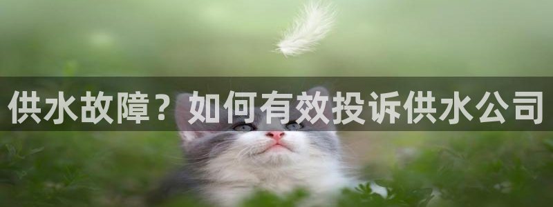 球友会登录网站怎么登录