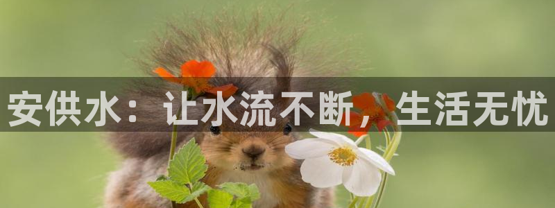 球友会链接