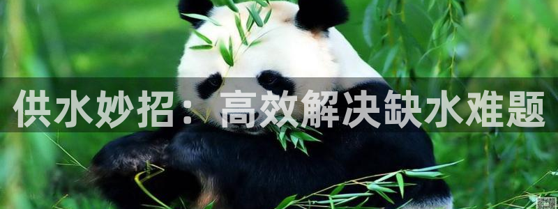 球友会体育app官方版下载安装苹果手机