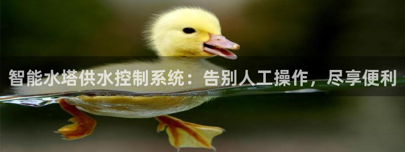 球友会官网入口在哪里