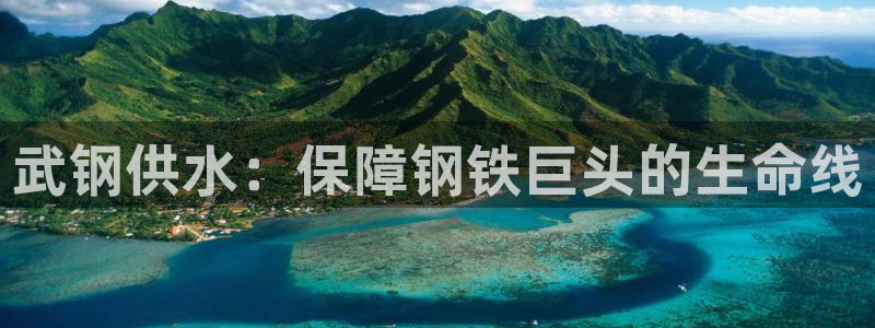 球友会体育