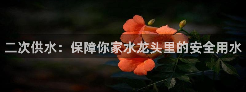 球友会体育app下载安卓