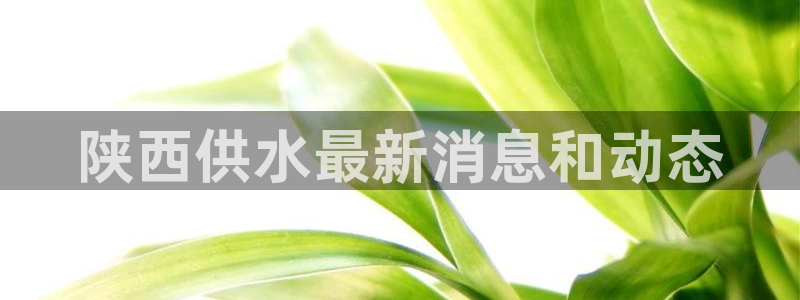 球友会app官方网站