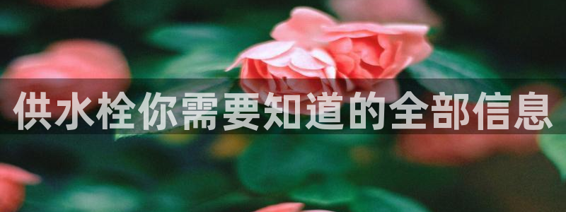 球友会app干啥的软件