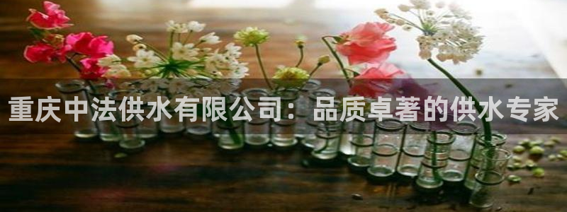 qy球友会体育(中国)官方网站