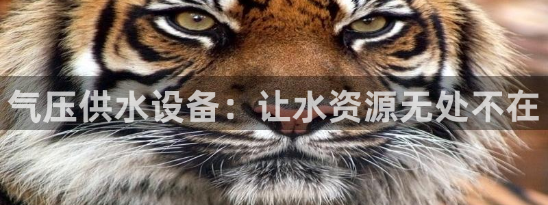球友会提款不到账