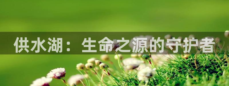 球友会app官网下载