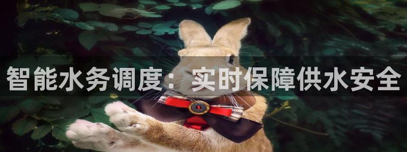 球友会app安全吗