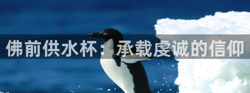 球友会体育