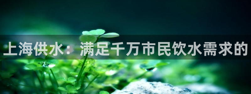 球友会体育app官方版下载安装