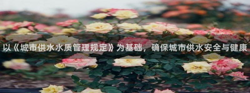 球友会在线登录