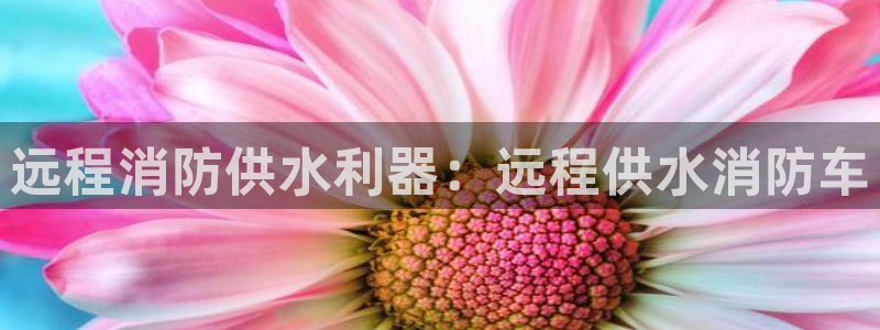 QY球友会官网