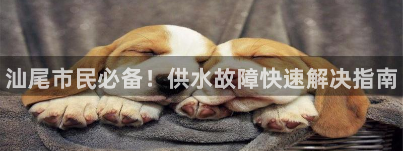 球友会官网登录入口