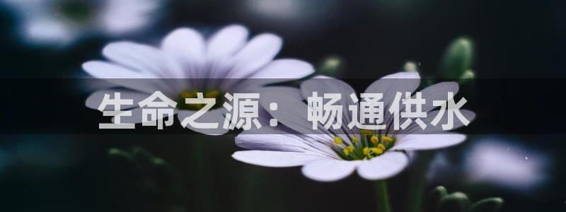 球友会登录
