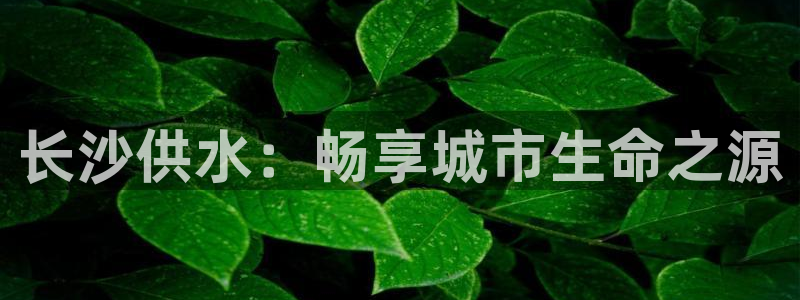 球友会台球俱乐部