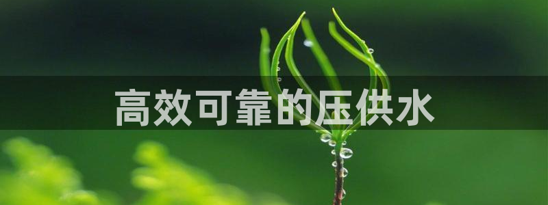 球友会体育app下载安卓手机