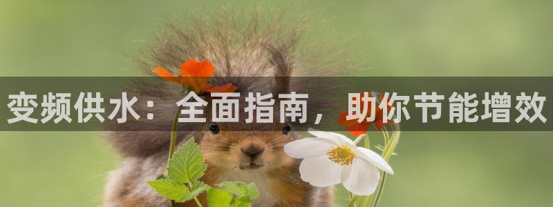 球友会的会字是哪个会