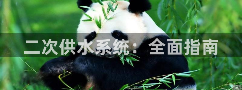 球友会兑换码