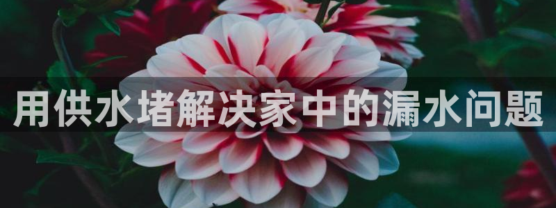 球友会apy