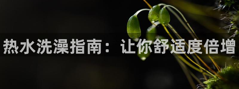 qy球友会体育官网下载