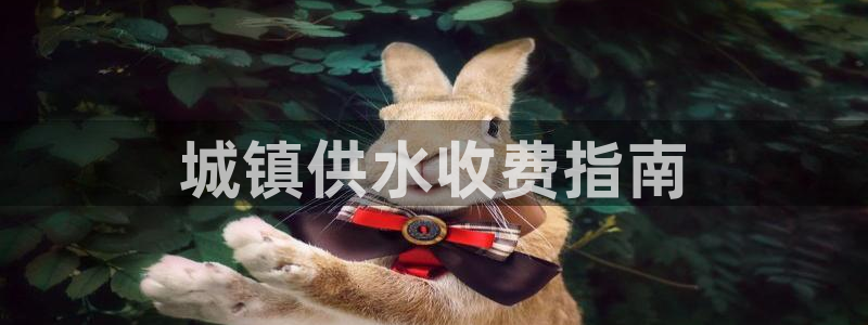球友会审核