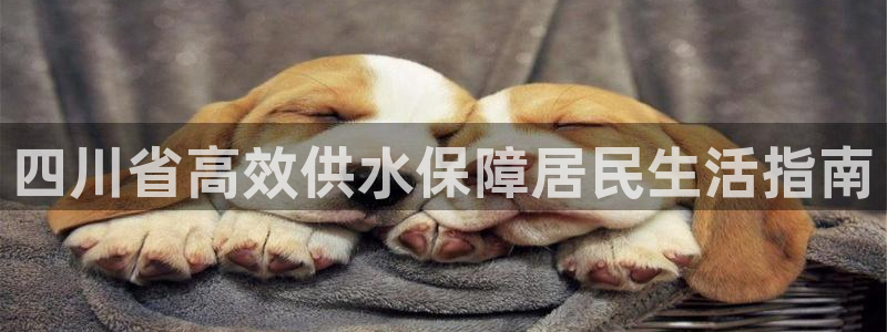 球友会体育