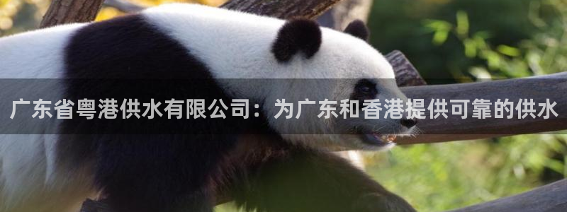球友会拼音