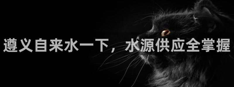 球友会台球俱乐部官网