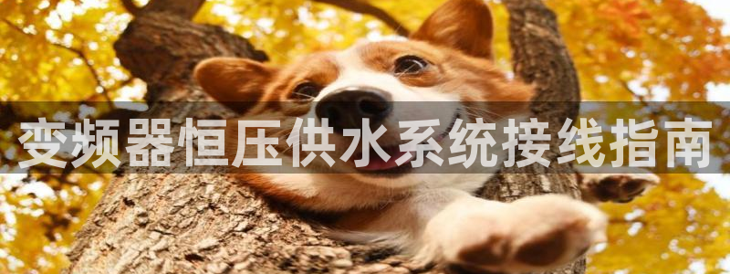 球友会app干啥的啊
