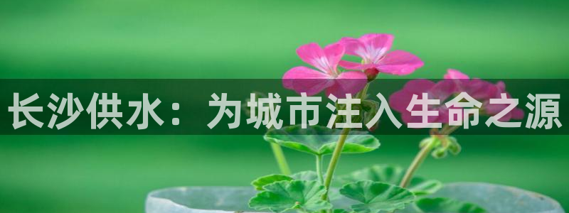 球友会入口