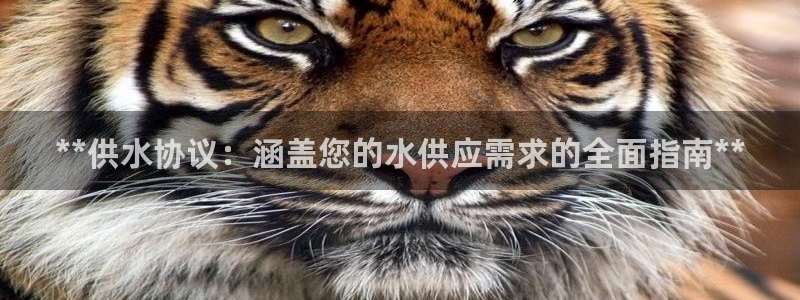 球友会台球俱乐部官网