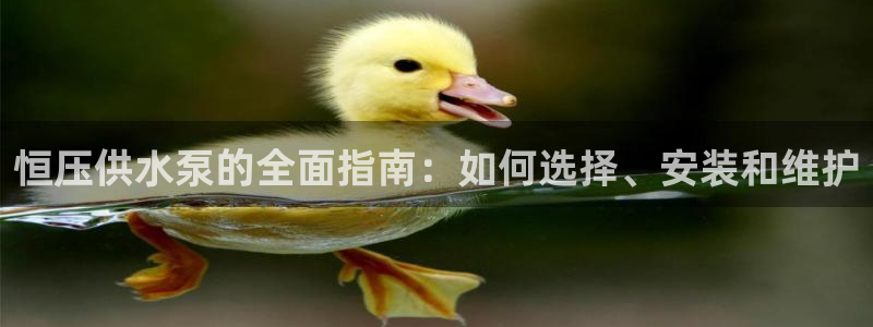 关键词