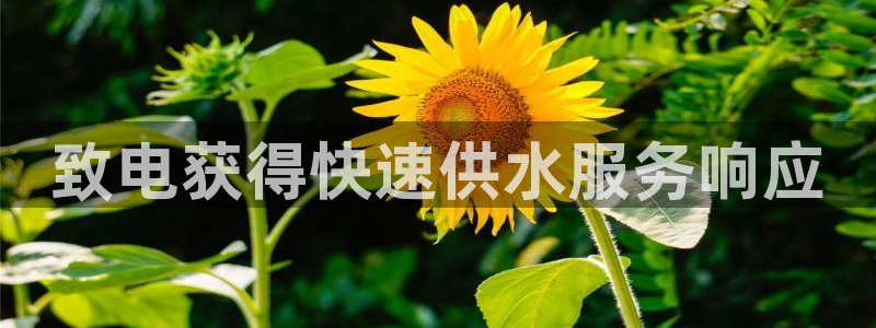 球友会友谊赛赛程赛果