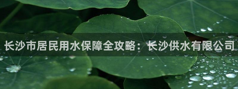 球友会台球俱乐部官网