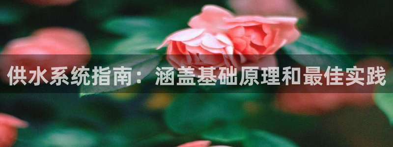 球友会体育app下载