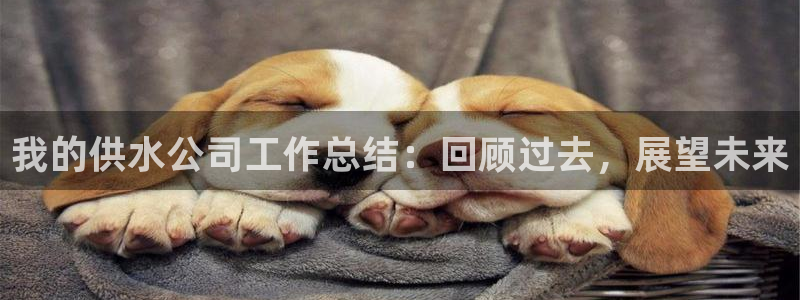 球友会App