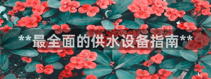 球友会英文怎么说呢翻译
