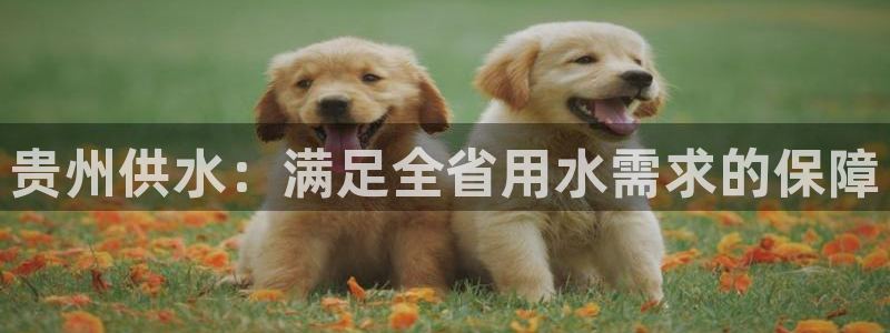 球友会下载
