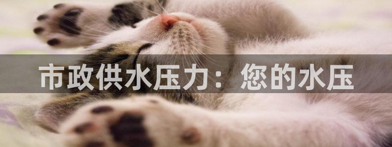 球友会台球俱乐部