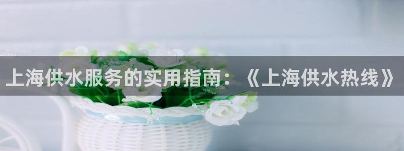 球友会官网下载