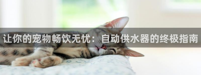 球友会app介绍