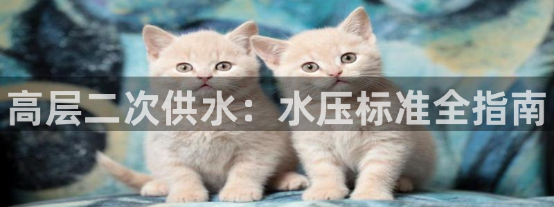 球友会app下载QY