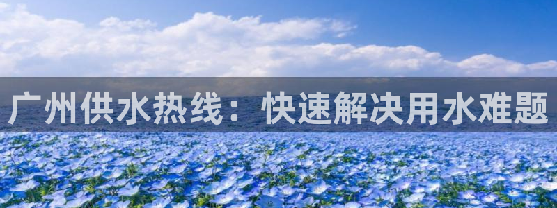 球友会比赛结果查询系统
