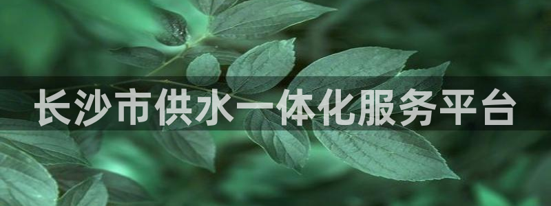 球友会比赛结果查询系统