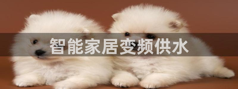 球友会台球俱乐部在哪