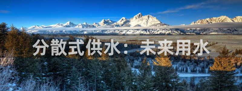球友会台球俱乐部官网