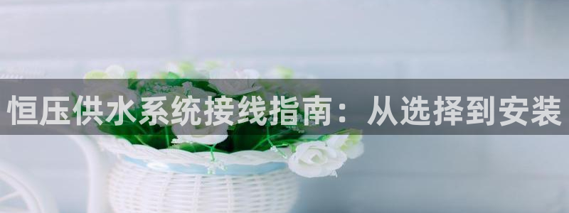 球友会比赛结果查询