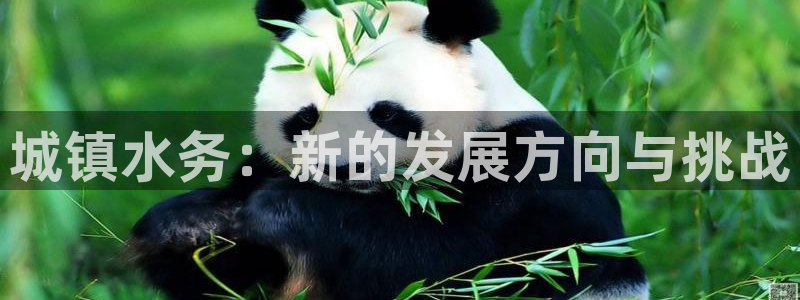 球友会logo