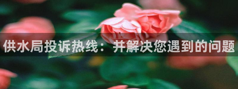 球友会体育app下载
