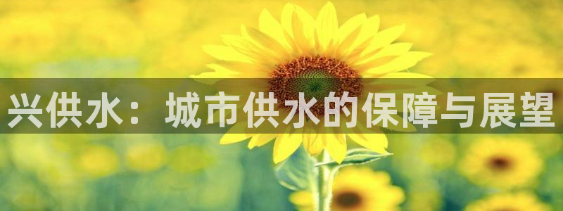 球友会比赛结果查询